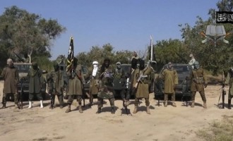 Amnesty: Latest Boko Haram attack – the most vicious this year