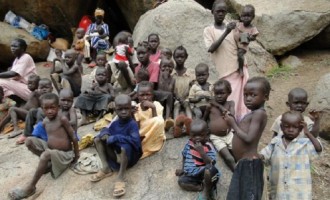 70% of children in Kebbi ‘not in school’