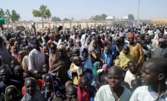 The food is good… we are not in haste to return home, say IDPs