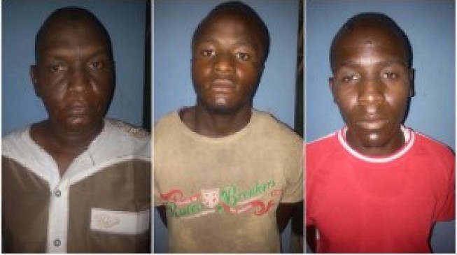 Nigerian Army raids Boko Haram cell in Niger