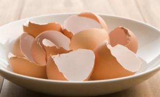 This is why you should start eating your eggshells