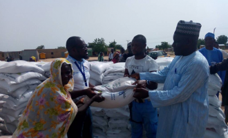 FAO supports IDPs with agric inputs