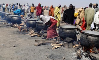 Benue ‘employs 4,150 cooks’ for school feeding programme
