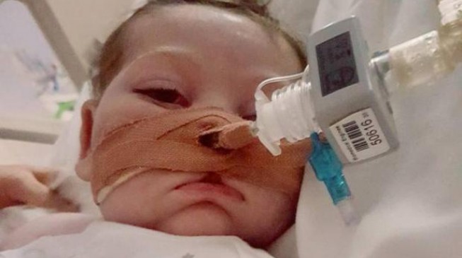 Cardinal praises hospital's 'outstanding professionalism' following Charlie Gard's death Cardinal praises hospital's 'outstanding professionalism' following Charlie Gard's death
