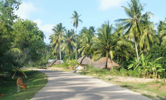 Travel Guide: Five must-visit tourist destinations in Tanzania
