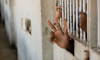 Amnesty accuses FG of silencing critics with ‘enforced disappearance’