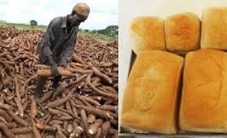 Agric Ministry registers 2.5 million farmers in the north-east