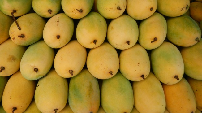 Mangoes can do wonders for diabetics