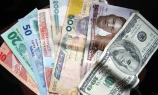 Naira rises to 215/$1 after dramatic fall