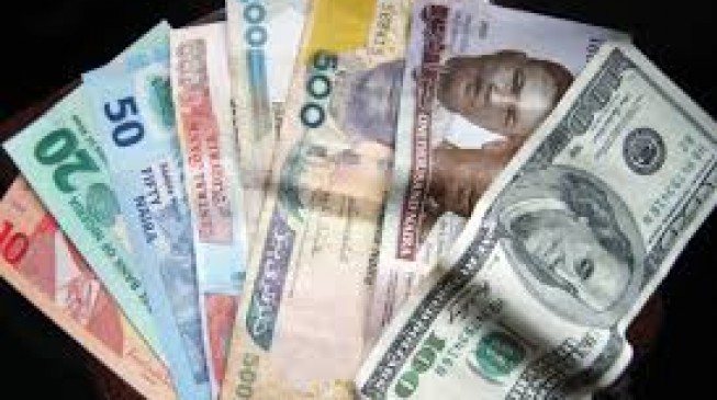 Naira rises to 215/$1 after dramatic fall
