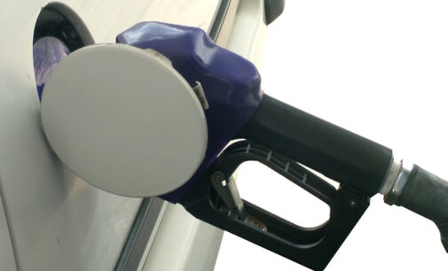 No plans to increase fuel price ‘for now’