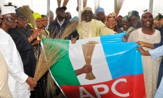 APC wins all seats in Kano LG, councillorship election