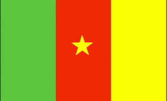 500,000 Cameroonians seek resident permits from FG