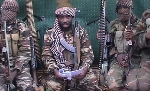 Report: ISWAP confirms Shekau’s death, accuses him of corruption