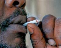 International parties adopt strategies to reduce consumption of tobacco