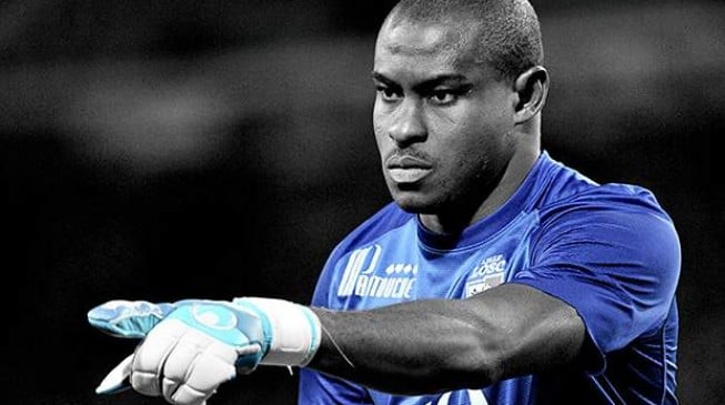 Enyeama wins historic Ligue 1 award
