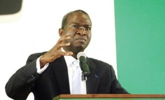Fashola, Let’s have council elections