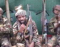 Boko Haram ‘attacks’ Chinese plant in Cameroon