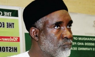 The other side of the Boko Haram conspiracy theory