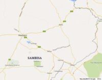 What do you know about Sambisa near Chibok?