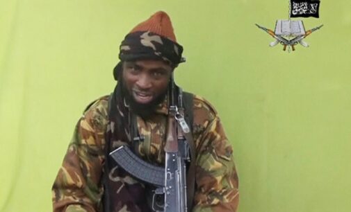 EXCLUSIVE: Boko Haram ‘demands immunity’