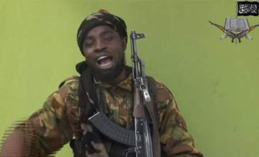 Shekau gives condition to release Chibok girls