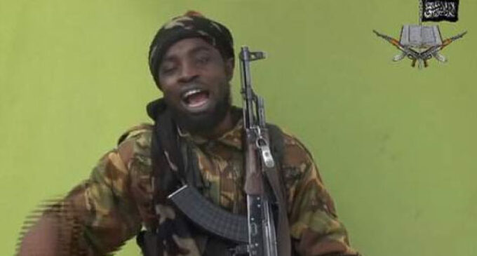 Shekau gives condition to release Chibok girls
