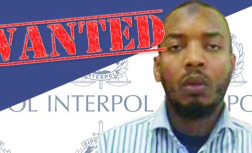 Interpol warrant for run-away ‘Nyanya bomber’