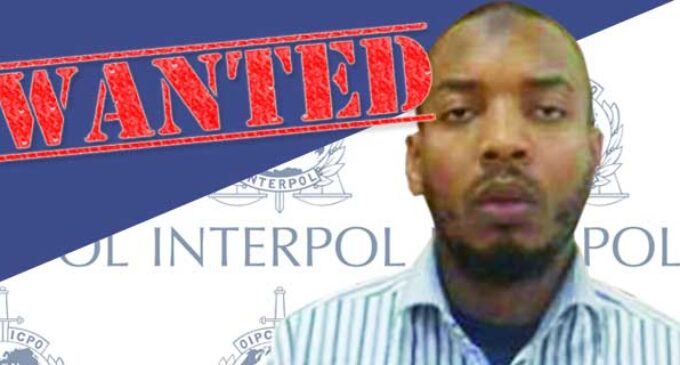Interpol nabs Ogwuche, the ‘Nyanya bomber’