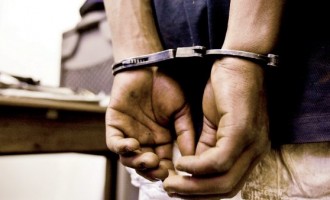 Mother begs court to jail son