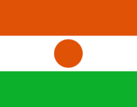 Niger or Nigeria? World cup organisers display wrong flag