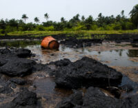 Agip shuts oil well in Bayelsa community after spill