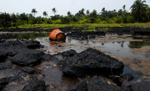 Shell pipeline spills 110 barrels of crude oil into Bayelsa community