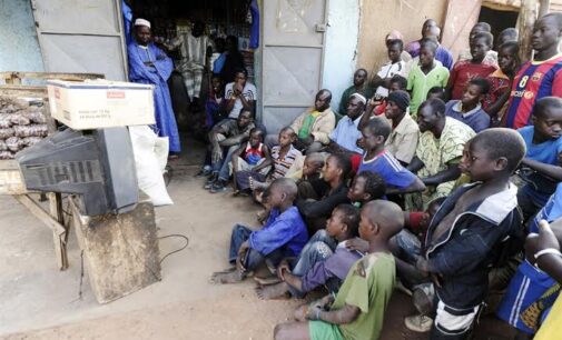 Adamawa bans viewing centres during World Cup