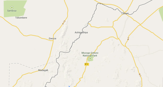 Boko Haram raids 6 Borno villages, kills 30