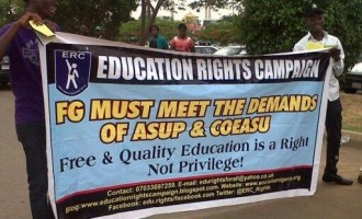 Looming strike: 14 institutions owe staff 10 months salaries