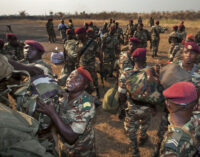 Boko Haram ambushes Cameroonian soldiers, kills 2