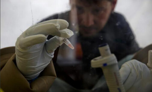UK launches £6.5m research to combat Ebola