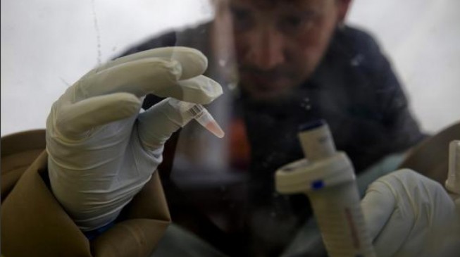 Ebola: Nigeria commences airport screening as West Africa death toll hits 729