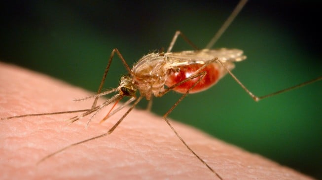 Dogara: Over 100m Nigerians don’t have money to treat malaria