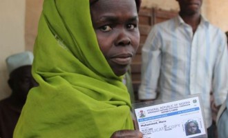 Kano declares Friday public holiday for PVC collection