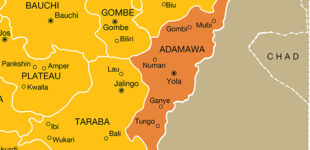 ’19 children’ killed in suspected measles outbreak in Adamawa