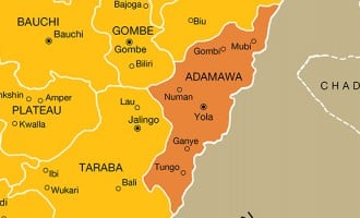 Army arrests ‘high profile’ Boko Haram insurgent in Adamawa