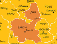 Children among 18 passengers burnt beyond recognition in Bauchi auto crash
