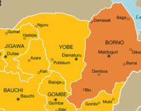 Army foils multiple suicide attacks in Borno