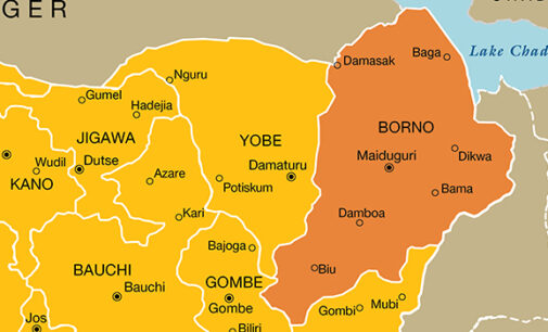 Suicide bombers kill 3 in Borno