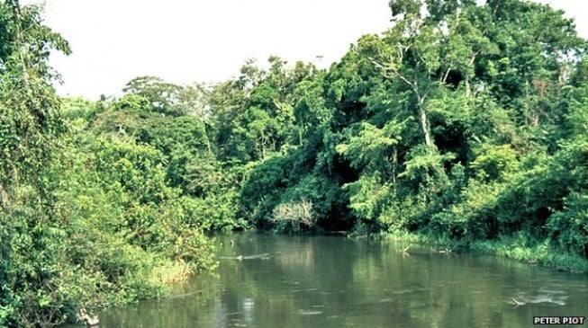 Three facts you should know about Ebola River