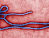 Guinea records three new cases of Ebola