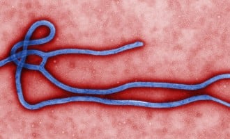 Guinea records three new cases of Ebola