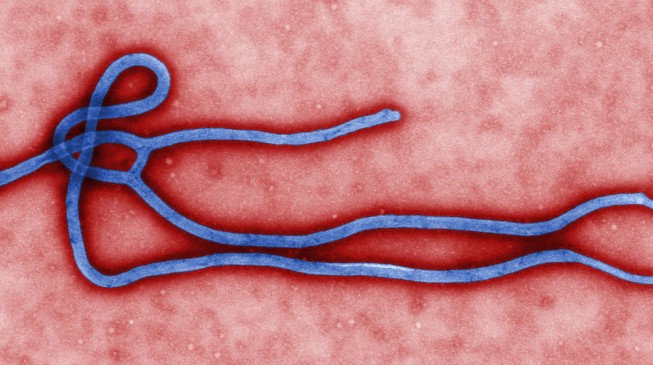 Guinea records three new cases of Ebola